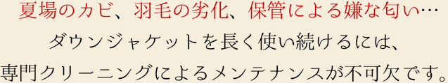 夏場のカビ、羽毛の劣化、保管による嫌な匂い…ダウンジャケットを長く使い続けるには、専門クリーニングによるメンテナンスが不可欠です。